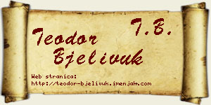 Teodor Bjelivuk vizit kartica